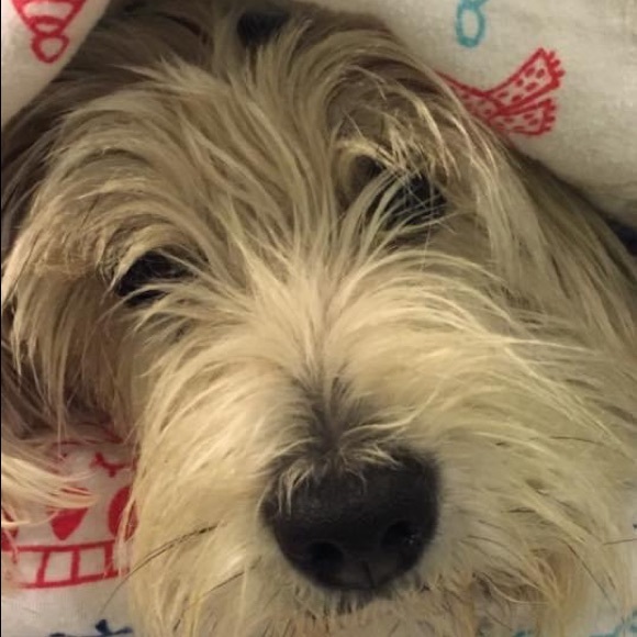 Meet your Posher, Noreen - Picture 1 of 1